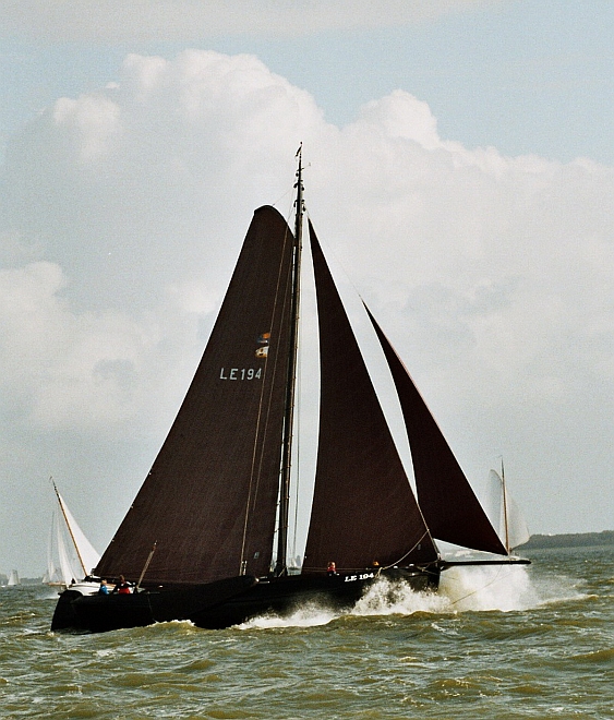 A7-LE194.jpg