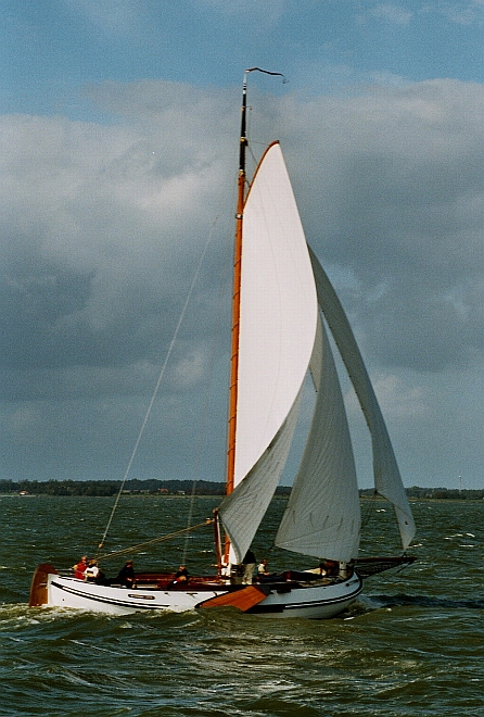 C11-LE7.jpg