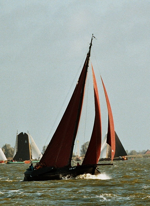 I15-LE47.jpg