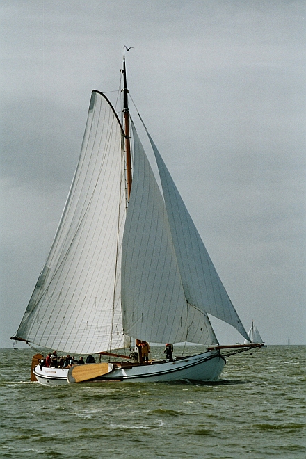 J24a-LE7.jpg