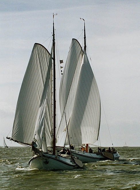 J8a.jpg