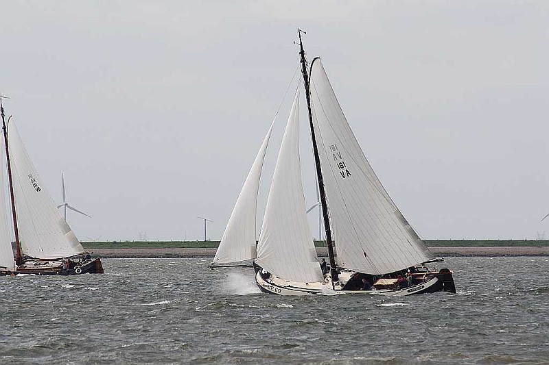 IMG_0734.jpg