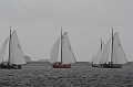 IMG_1239