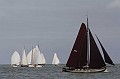 IMG_8951