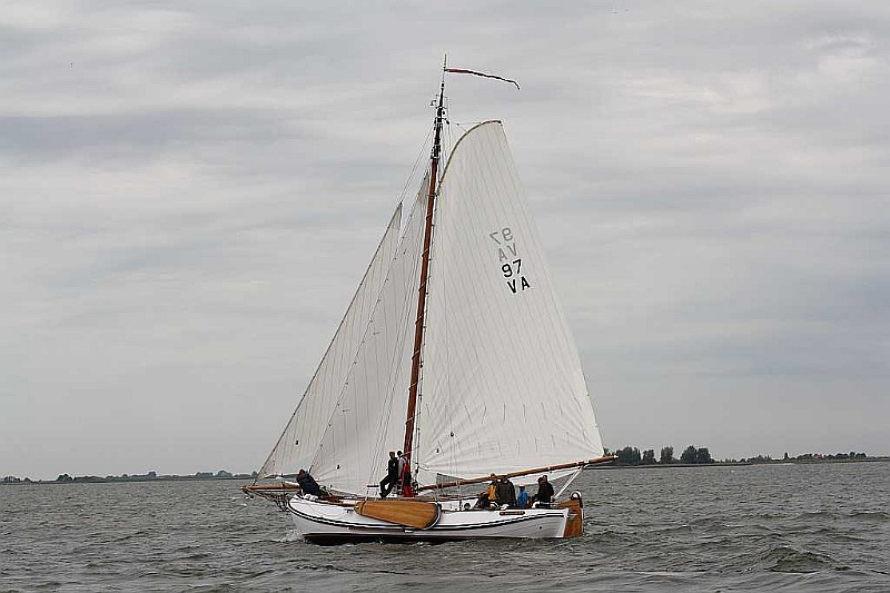 IMG_1896.jpg