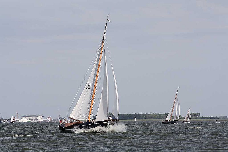 IMG_2101.jpg