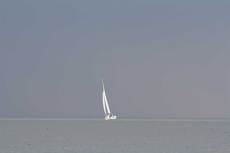 IMG_2430.jpg