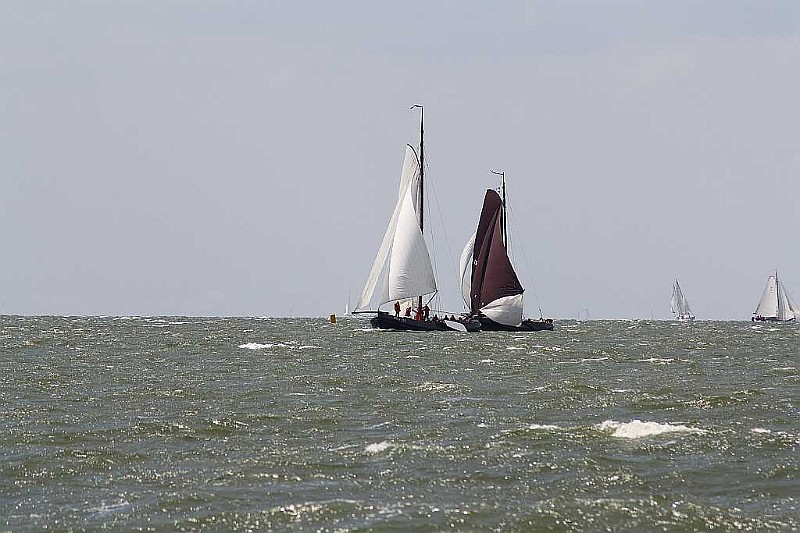 IMG_2514.jpg