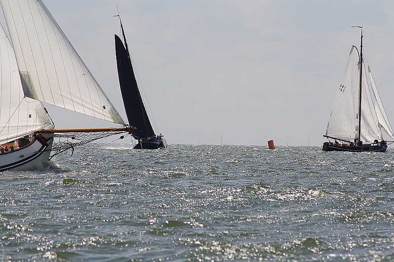 IMG_2536.jpg
