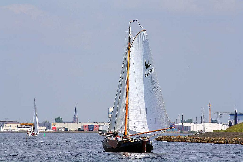 IMG_3016.jpg