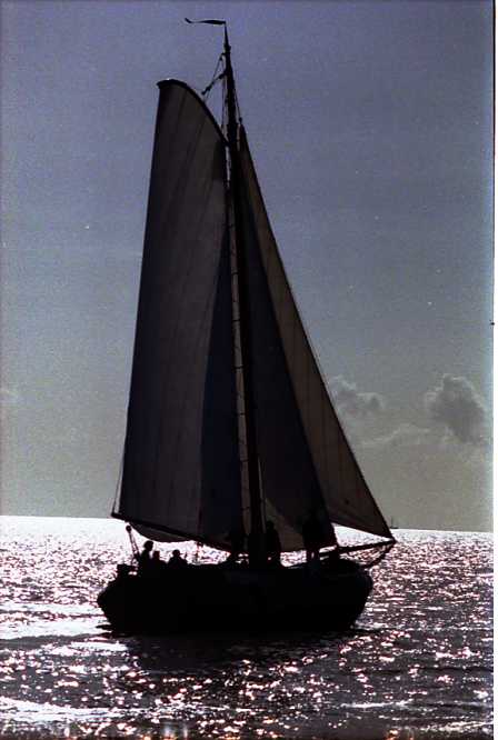 Aak Brakzand van P.Syperda Bolkop '96