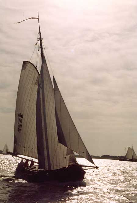 VA100 De Zwarte Beer