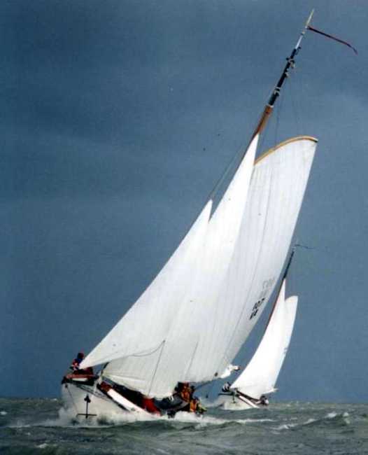 VA107 Haesewindt van web