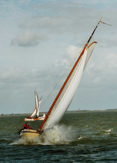 VA177 de Zeeleeuw 3-10-'04