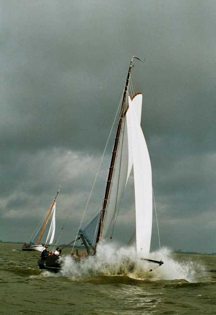 VA181(LE69) DeVrouwe Geeskebij FHR'04