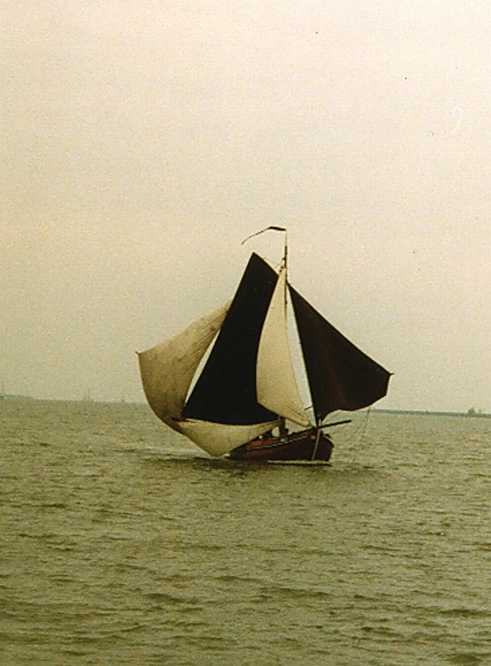 Zij was ver weg ,maar wel mooi!