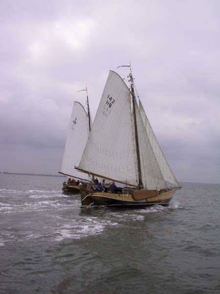 Mooi hout
