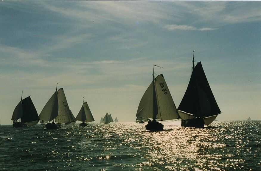 Bolkop'95