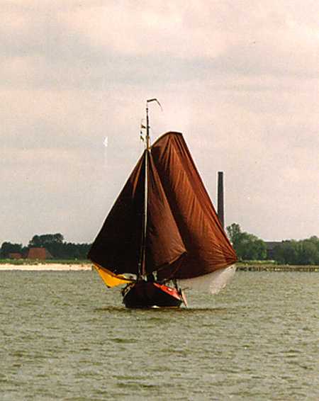 schouw voor de wind'tWylde Wife