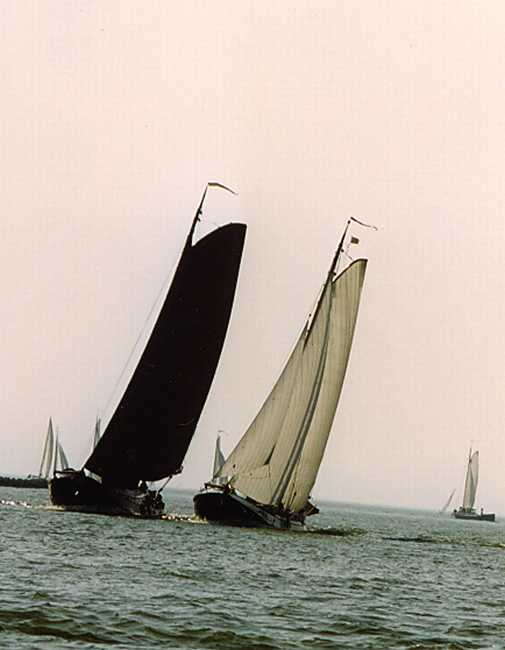 Lemster Bokkingrace 1999