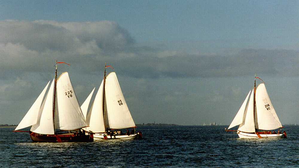 Bolkop 1996 VB225-VB85-VB216