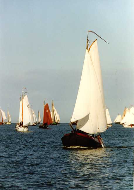 Bolkoppenrace 1996 WB11