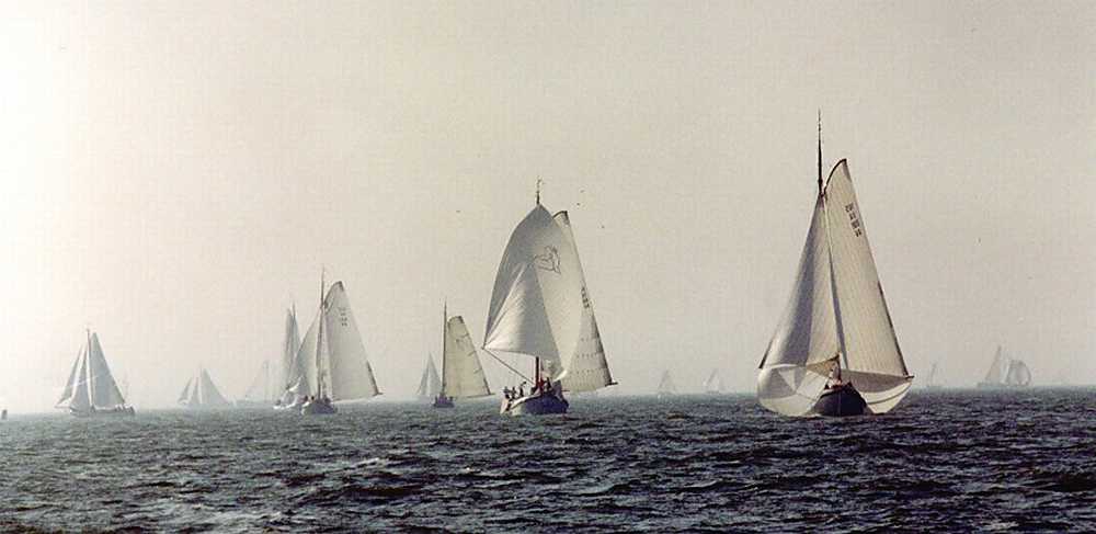 Bolkop 2001 alles achter de VA114