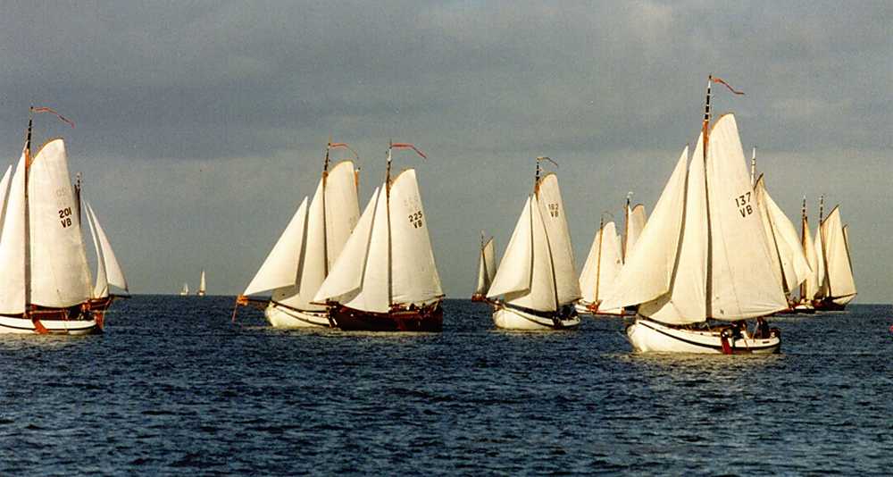 Bolkoppenrace 1996 bij Enkhuizen,pracht weer