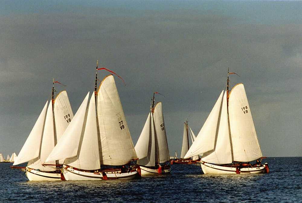 Bolkop'96 met heel veel mooie plaatjes