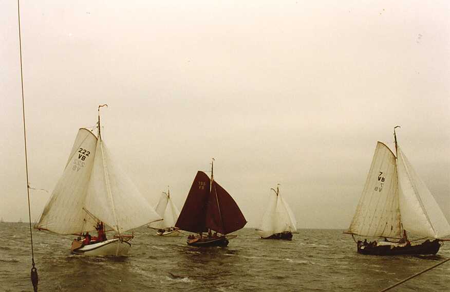 Bolkop 1995 VB7-VB222-VB195