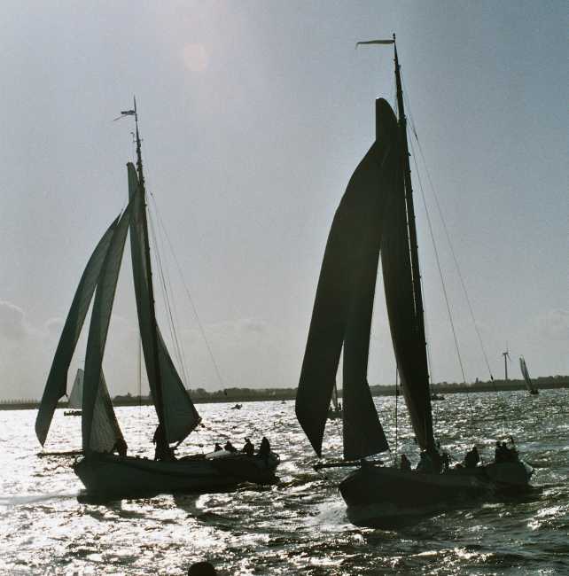 Wie zijn dat... tegen het licht in HI8-?