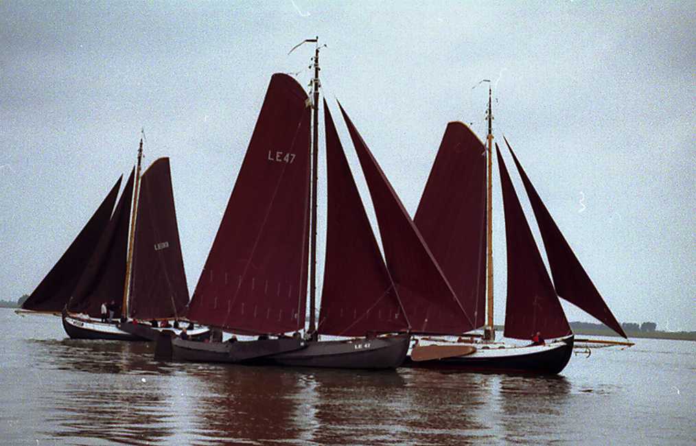 Geen Wind LB2000