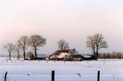 Wapserveen in de sneeuw