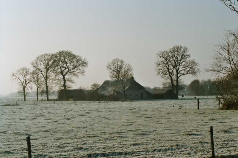Rijp op Wapserveen