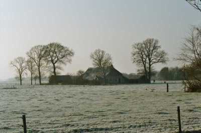 Wapserveen in rijp