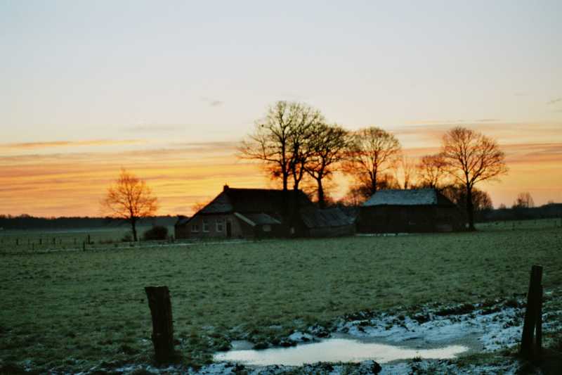 Mooie opkomst boven midden