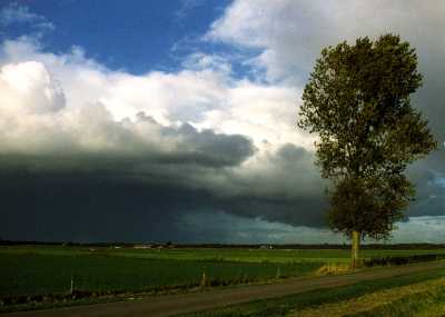 Vergezichten rond Wapserveen.