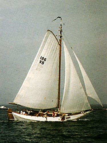 VB186