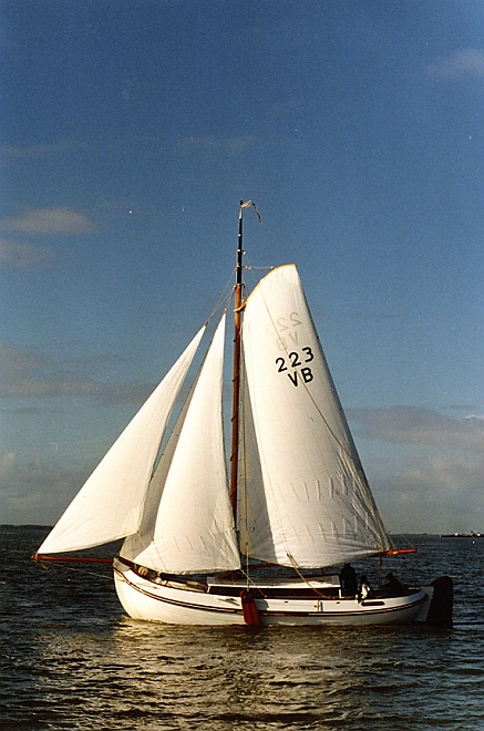 VB223