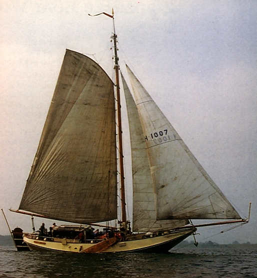 VB38