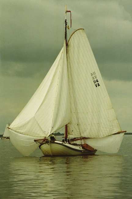 VIsotter vliegend 2003