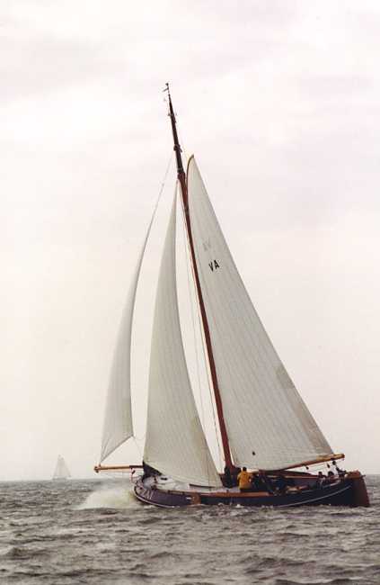 Bolkoppenrace 2001 ZA1