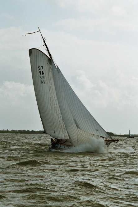 De Witte Bever met Snor