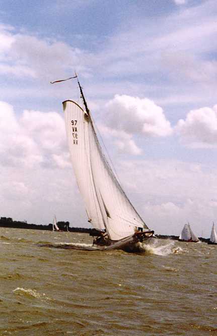VA97 De Witte Bever 2001
