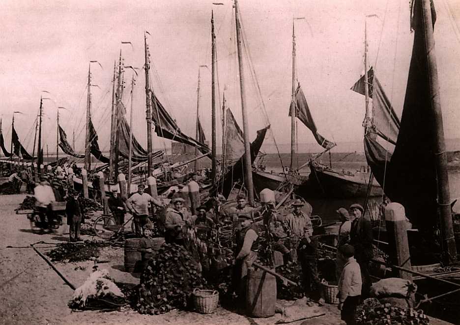 Drukte van je welste op haven van Lemmer