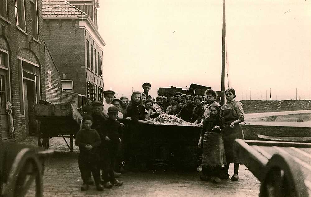 Ansjovies of zo iets