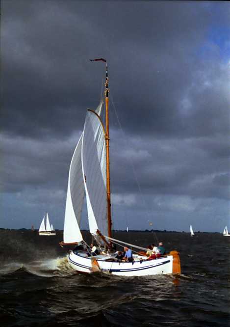 Blauwe Vinvis van G. Brouwer op Heegermeer