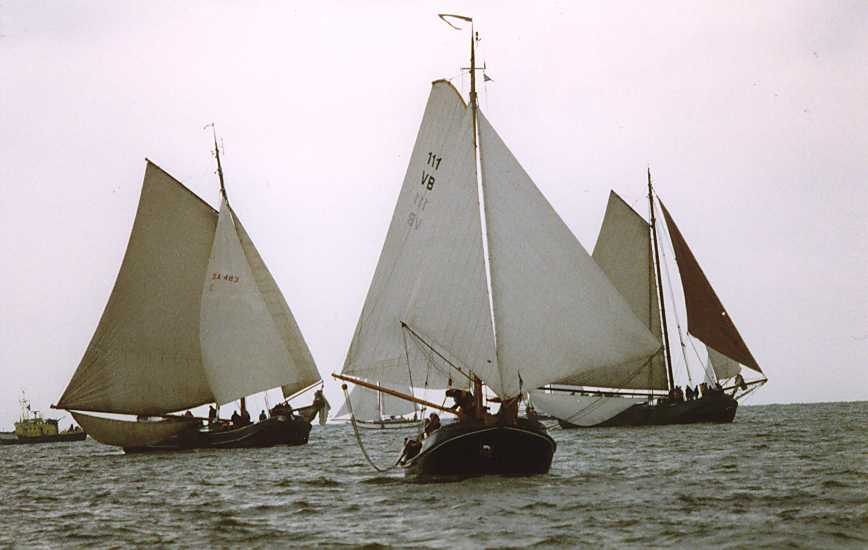 VB111 Veartwel Zwarte Tijger