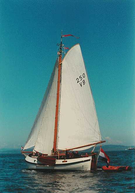 VB250 Fidelia
