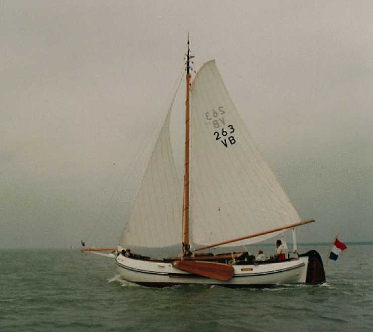 VB263 